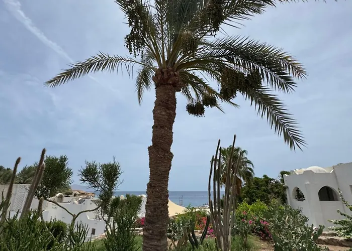 Resort Domina Coral Bay Private Şarm El-Şeyh